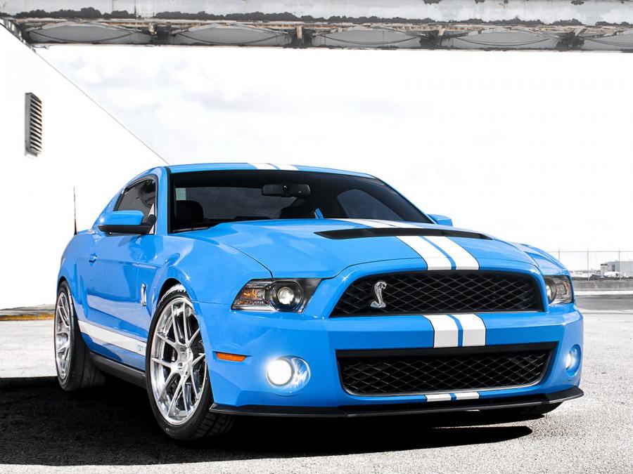  Shelby GT500 2009 года  (фото 7 из 21)